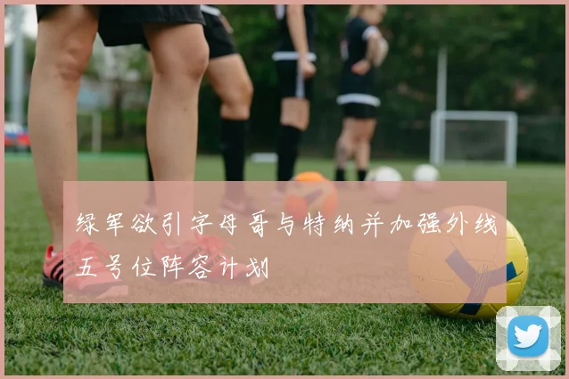 绿军欲引字母哥与特纳并加强外线五号位阵容计划