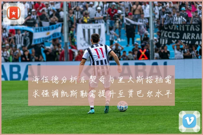 海伍德分析东契奇与里夫斯搭档需求强调凯斯勒需提升至贾巴尔水平